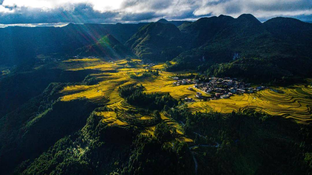 千年傳承古方，能否抓住新機遇？